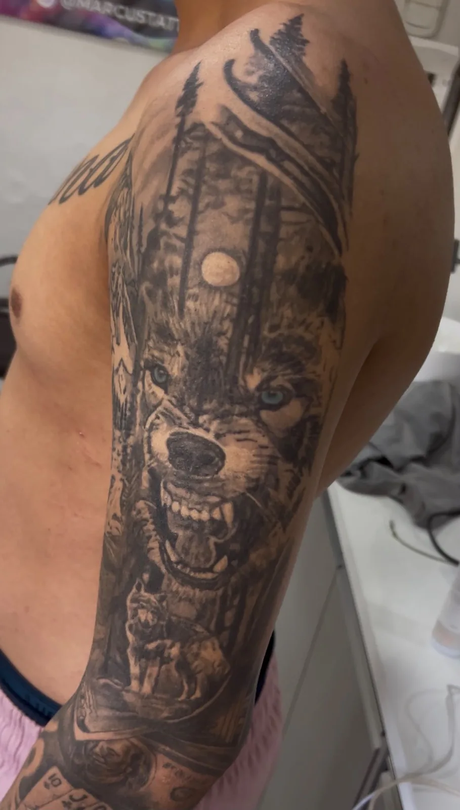 Lobo na floresta — antes